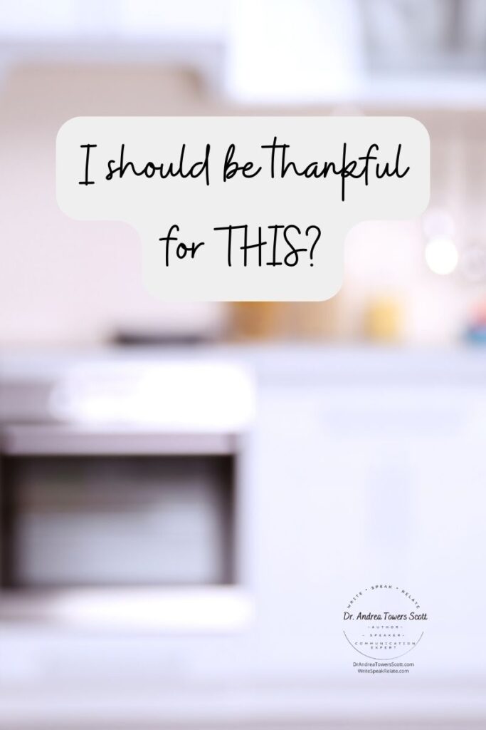 muted kitchen background with "I should be thankful for THIS?" title. author logo in bottom right